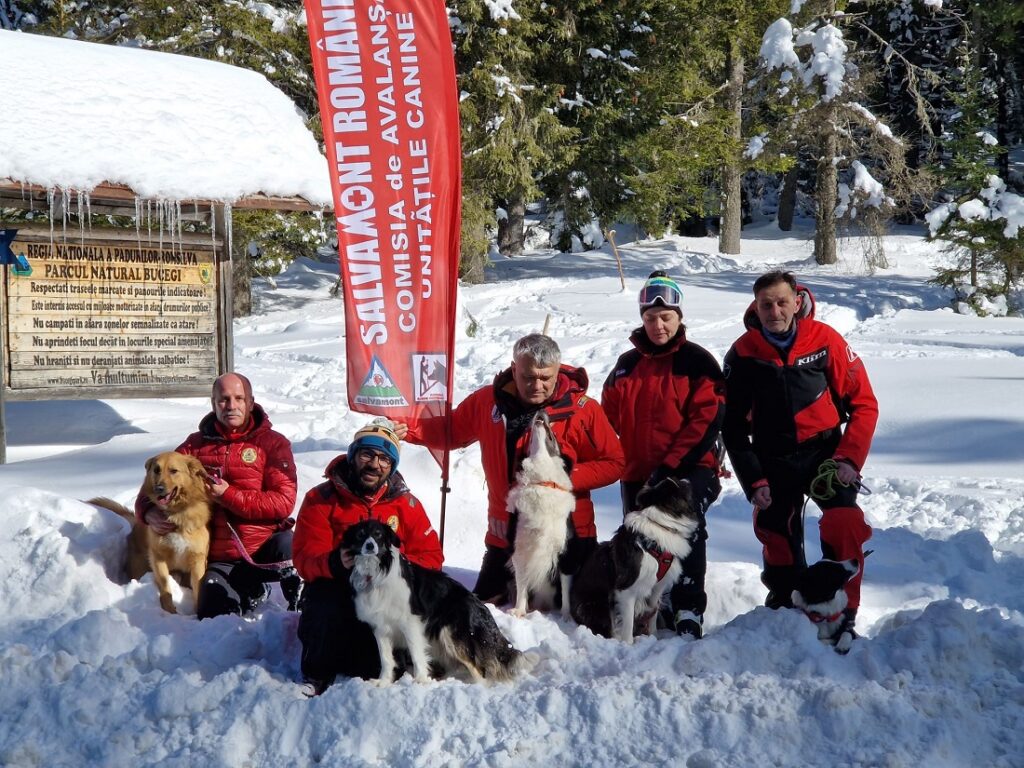 (VIDEO) Salvamont Bihor va avea prima unitate canină Salvamont, integral feminină!