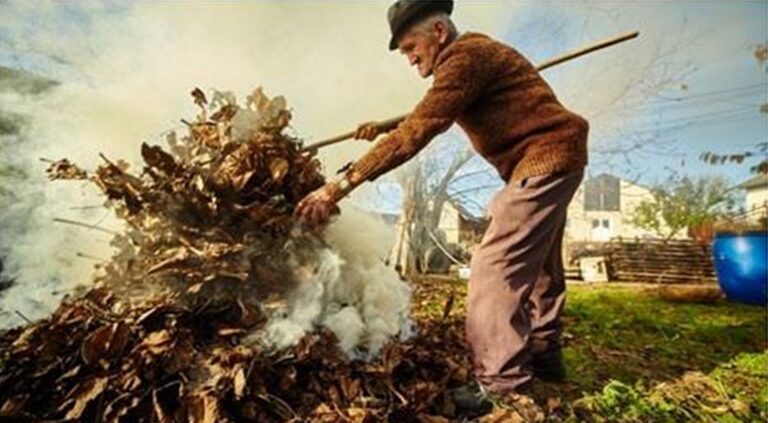 Românii care ard resturi vegetale în propria curte riscă amenzi considerabile