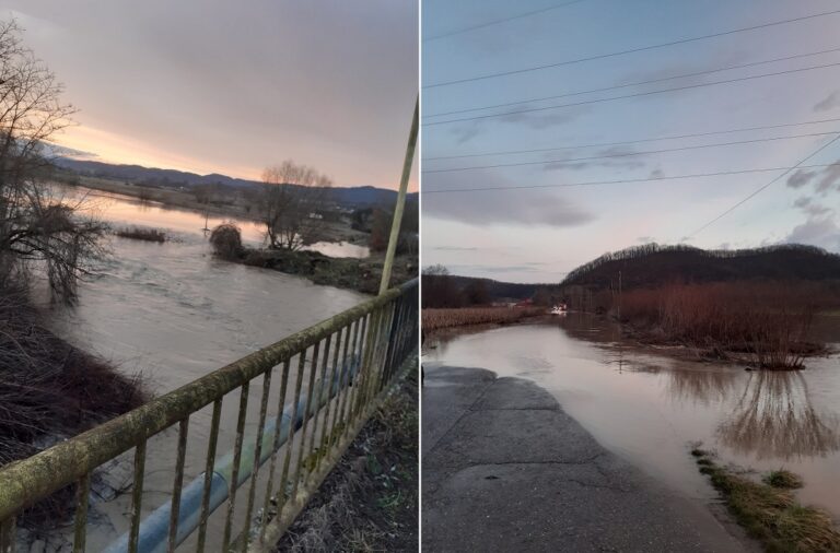 Crișul Alb a inundat Baia de Criș: Apele au curpins terenuri întregi!