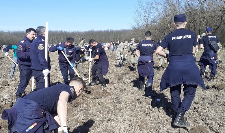 2.000 de puieți de stejar, cer şi frasin au fost plantați de pompierii bihoreni