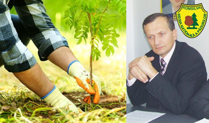 Dorel Oros: În această primăvară Direcția Silvică Cluj va planta 1.100.000 puieți
