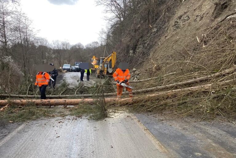Mai mulți arbori au căzut pe DN75 Turda – Câmpeni: Drumarii au intervenit pentru a degaja arborii de pe carosabil!