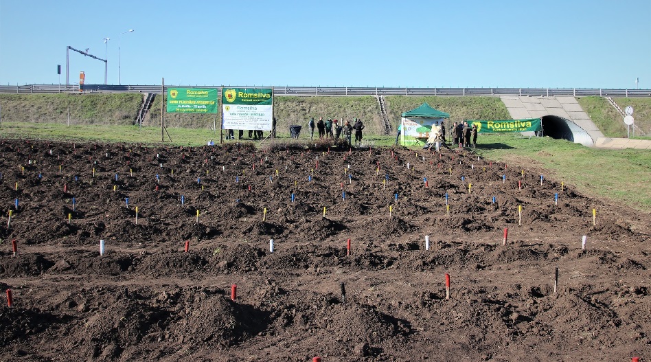 30 de hectare de perdele forestiere au fost realizate în campania de împăduriri de primăvară