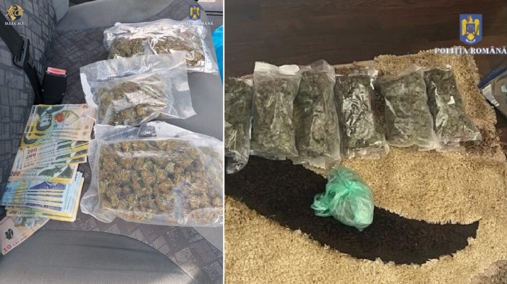Percheziții în „mica Columbie” de la poalele Apusenilor, din Bihor: Doi traficanți au fost reținuți!