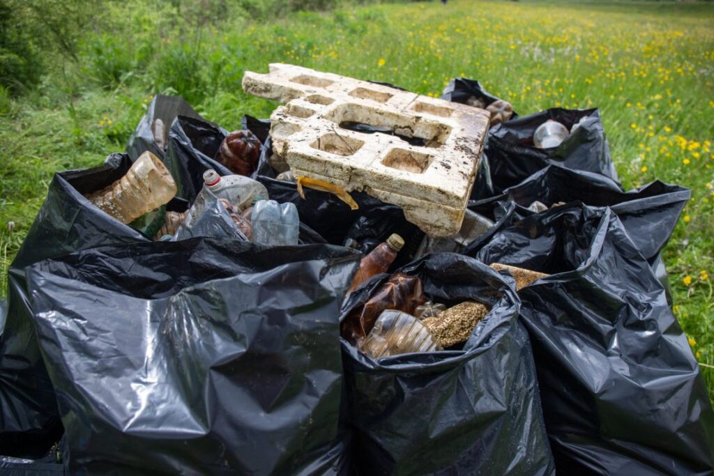 Primăria Certeju de Sus va organiza o activitate de ecologizare a albiei râului Certej