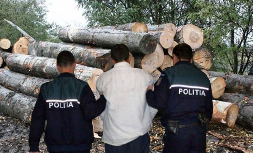 Un bărbat din Buntești care transporta lemn tăiat fără acte a fost reținut de polițiștii bihoreni