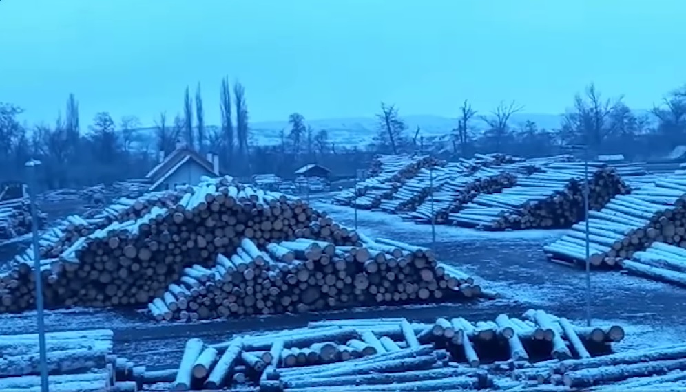 (VIDEO) Cum arată un depozit de lemne al ROMSILVA din Ardeal? Romsilva a înființat până în prezent 1.058 de depozite!