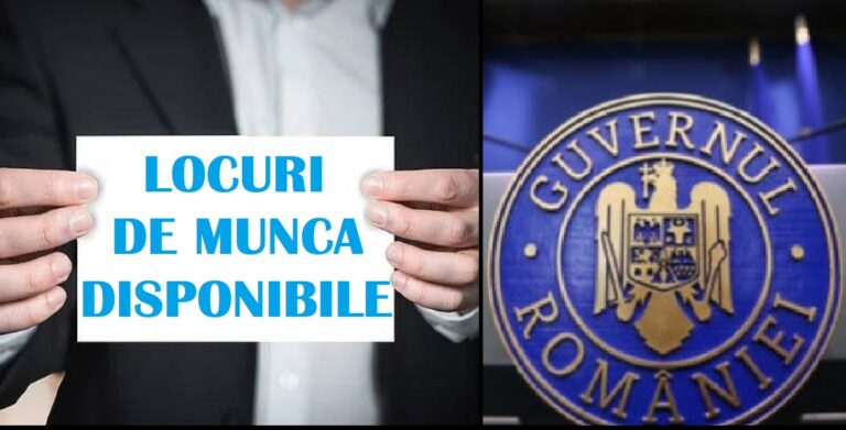 Mii de posturi scoase la concurs, la instituții de stat, de la începutul anului: Unde vă puteți angaja?