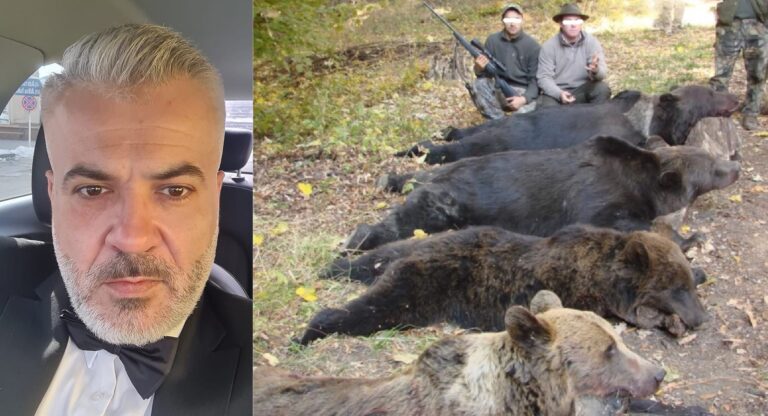 Ienci, despre masacrul animalelor: Cu permis sau fără, vânătoarea ar trebui interzisă total