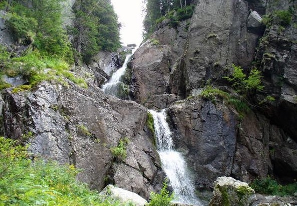 Cascada Moara Dracului, printre brazii cei înalți, pe drumul care leagă Stâna de Vale și Valea Drăganului