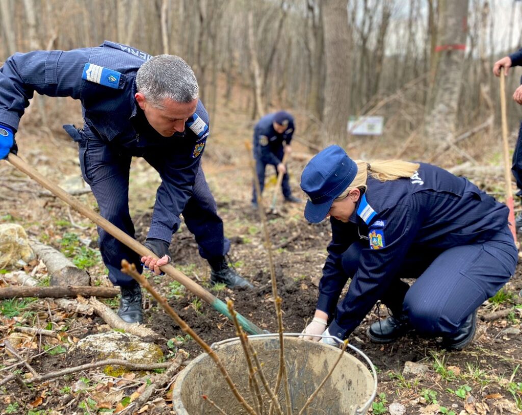 200 de puieți de gorun, tei și paltin au fost plantați de jandarmi în Colțești, Rimetea