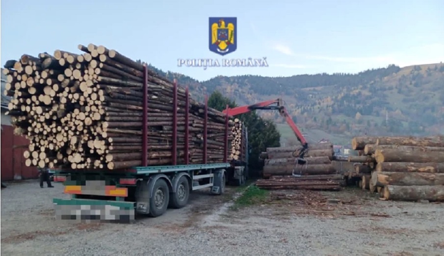 Amenzi între 1.000 şi 4.000 de lei pentru cei care vor transporta mai mult LEMN decât este legal