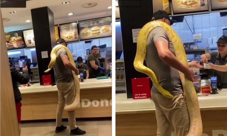 Un român a intrat cu un piton uriaș la gât, într-un fast-food: În jurul lui nu a mai fost coadă!