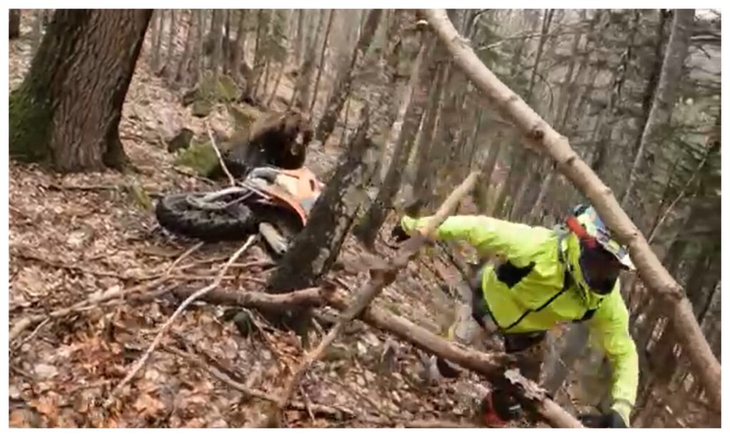 VIDEO-G4MEDIA: Un motociclist care se plimba prin pădure a fost atacat de urs