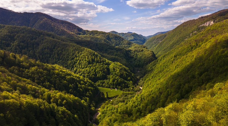 (FOTO) Verde crud în Cheile Galbenei, printre cele mai frumoase fenomene carstice din Apuseni