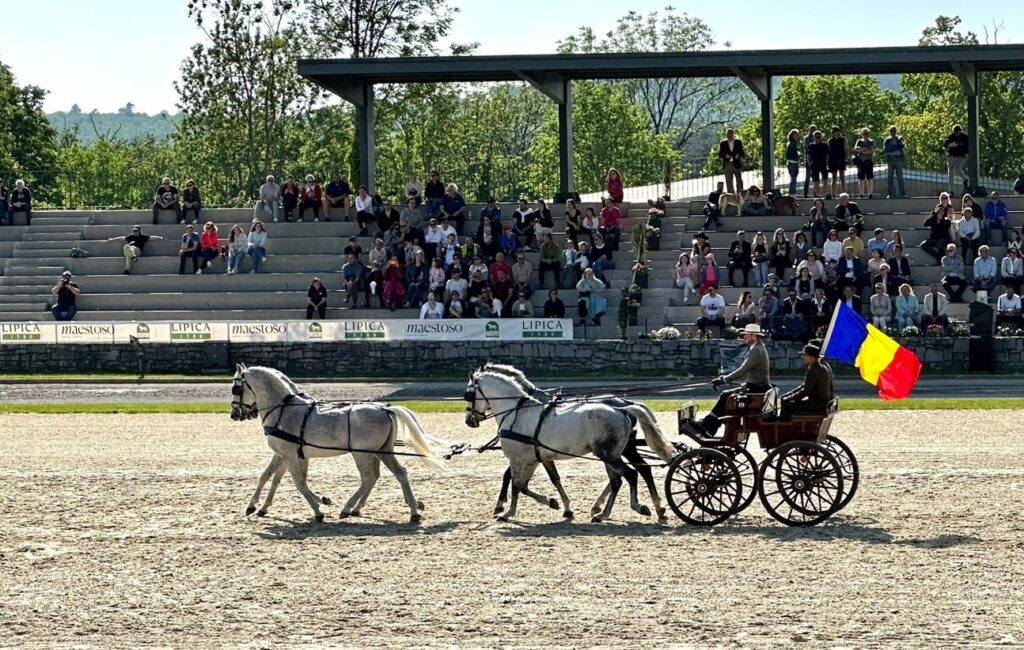 Romsilva, prezență strălucitoare la Festivalul Calului de rasă Lipițană la Herghelia de Stat Lipica, în Slovenia