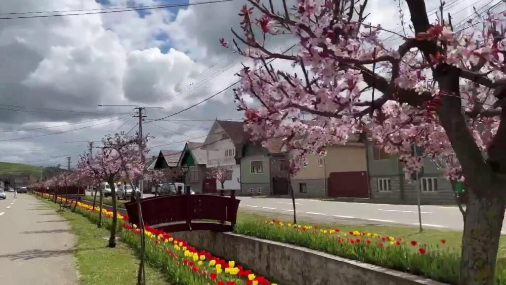 Sâncraiu, sat superb de la poalele Apusenilor: Fiecare casă și străduță sunt aranjate și arată ca-n povești!