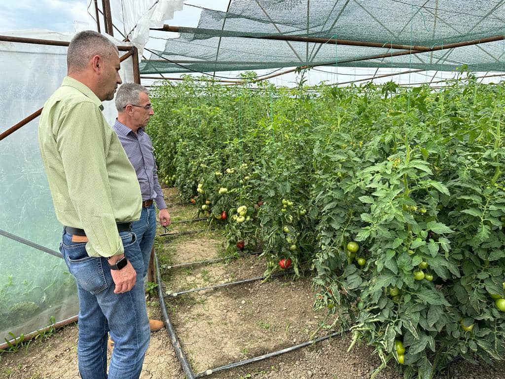 Vizită în teren a Prefectului Călin Marian la beneficiari ai programului  „Tomata”