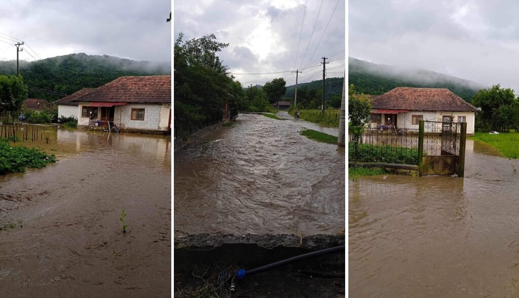 FOTO-VIDEO: Inundații în Baia de Criș, Rîșculița