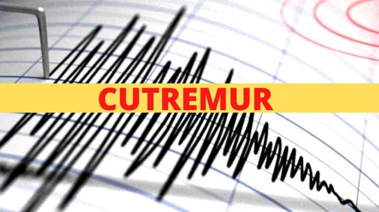Cutremurul din Arad de 5,3 s-a simțit și în Deva, Hunedoara, Oradea, Timișoara!