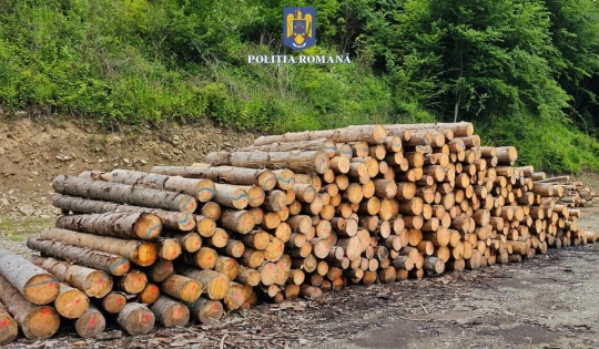 Material lemnos din Bulz, fără proveniență legală, în valoare de 31.462 de lei a fost confiscat de autorități