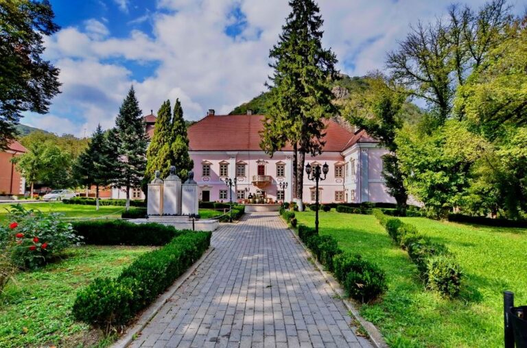 Magna Curia sau Castelul Bethlen, aflat la poalele Cetății Devei, unul dintre cele mai vechi monumente ale Devei