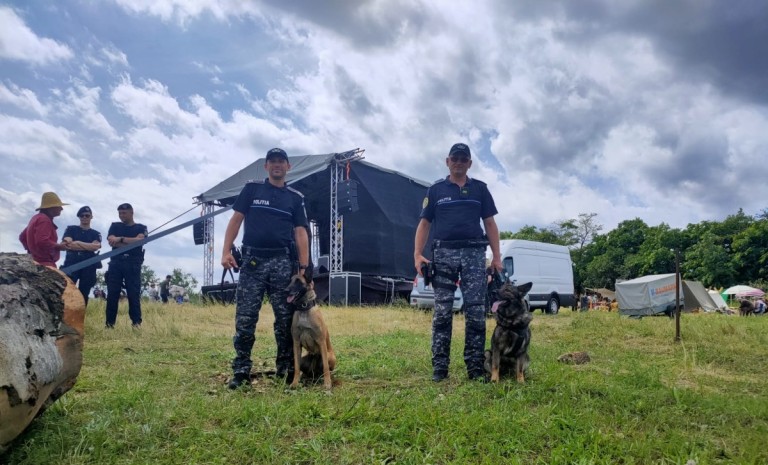 Amenzi de peste 86.000 de lei după o acțiune a polițiștilor și jandarmilor din Alba și Apuseni