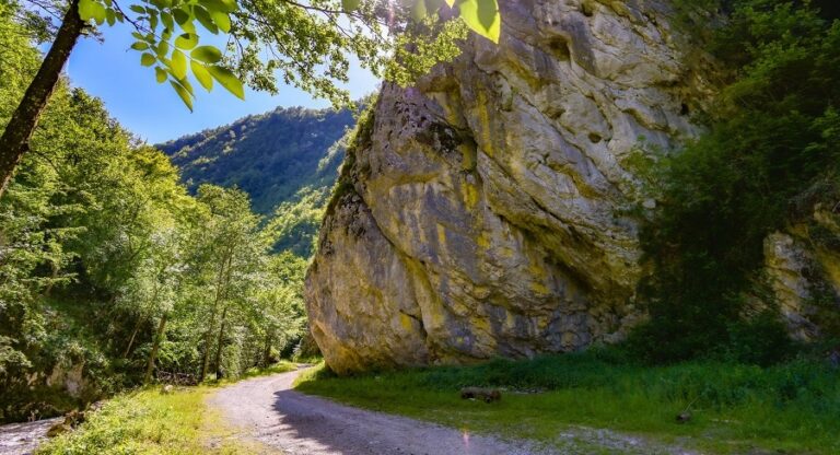 Cheile Ribicioarei, secretul din Apuseni: Stânci înalte, vegetaţie bogată, drum accidentat care duce până la o cascadă de unde se spune că izvorăşte curcubeul