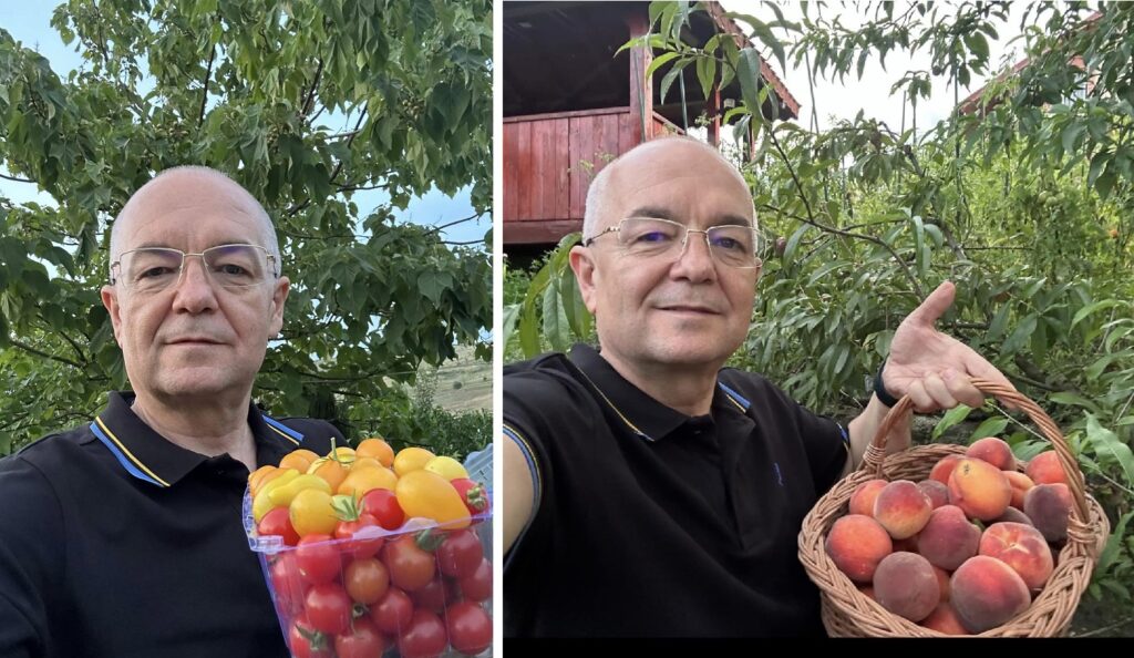 Emil Boc și-a cules roșiile și piersicile: „Merită! După muncă, și răsplată”
