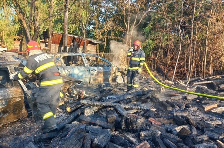 Incendiu violent la o gospodărie din Dobricionești