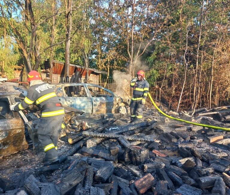 Incendiu violent la o gospodărie din Dobricionești