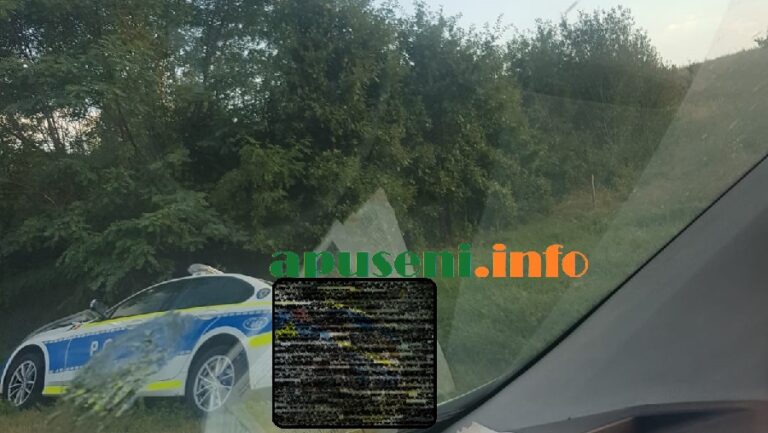 O mașină de poliție a zburat de pe DN76 în șanț la intersecția cu Ribița