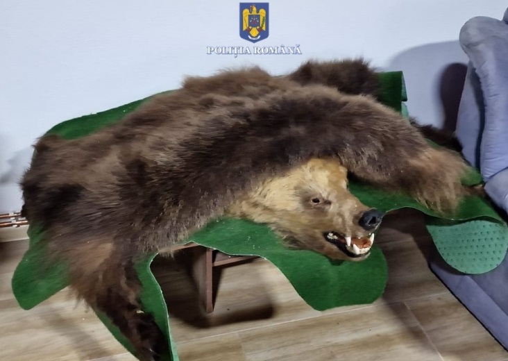 Braconierii din Bihor au fost asaltați de polițiști: Un munte de arme s-a descoperit după 17 percheziții domiciliare!