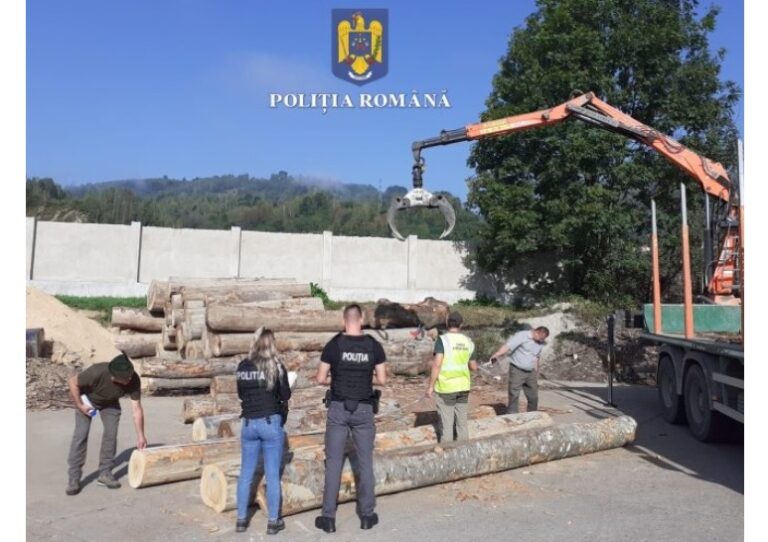 Un camion cu lemn a fost oprit de polițiști: Încărcătura era dublă față de ce era trecut în acte!