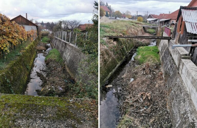 Vegetația înaltă din canalul Răbăreasa din Brad a fost îndepărtată