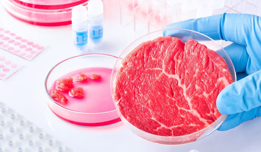 Carnea sintetică a fost interzisă la comercializare în România