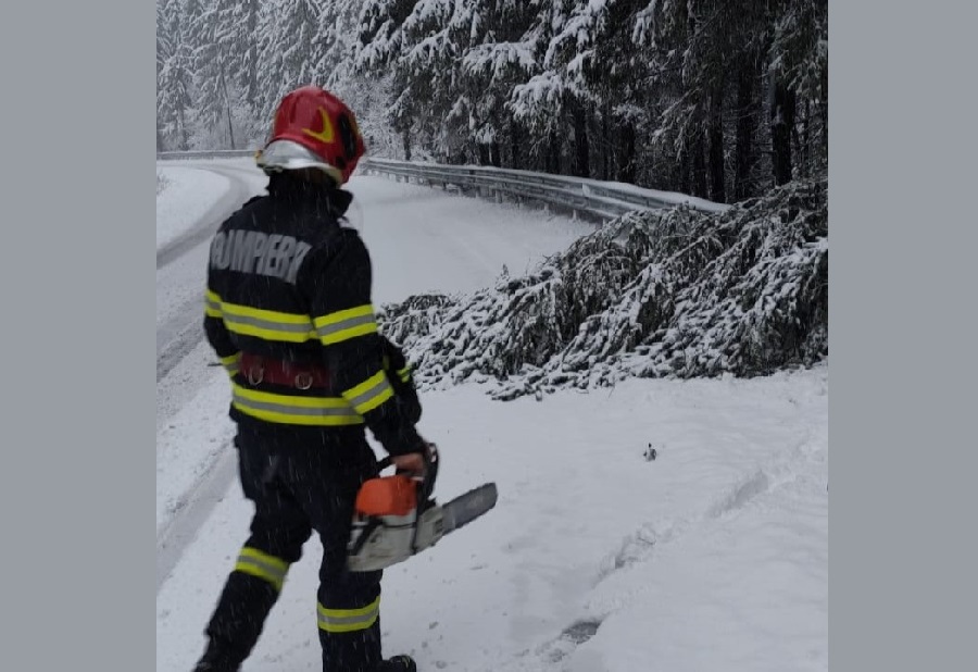 Arbori doborâți pe două drumuri din Apuseni, pe DN1R și DJ 107P, în Călățele și Mărișel
