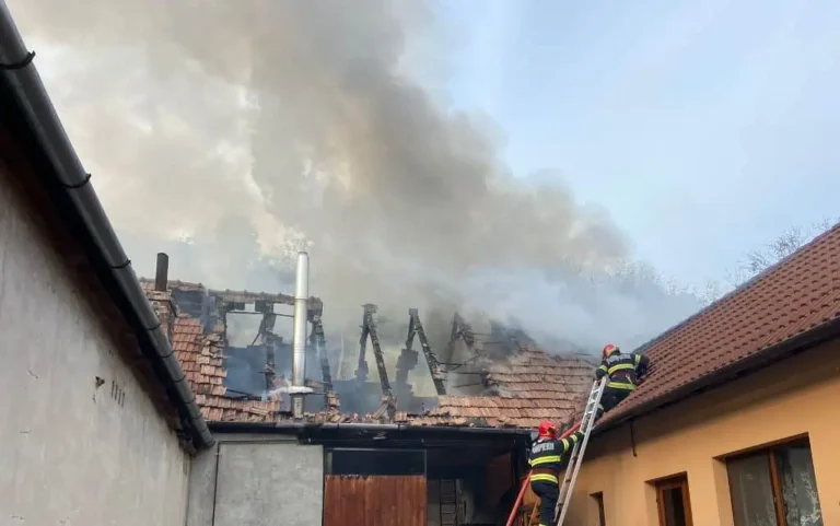 Incendiu într-o gospodărie din Sebeșel