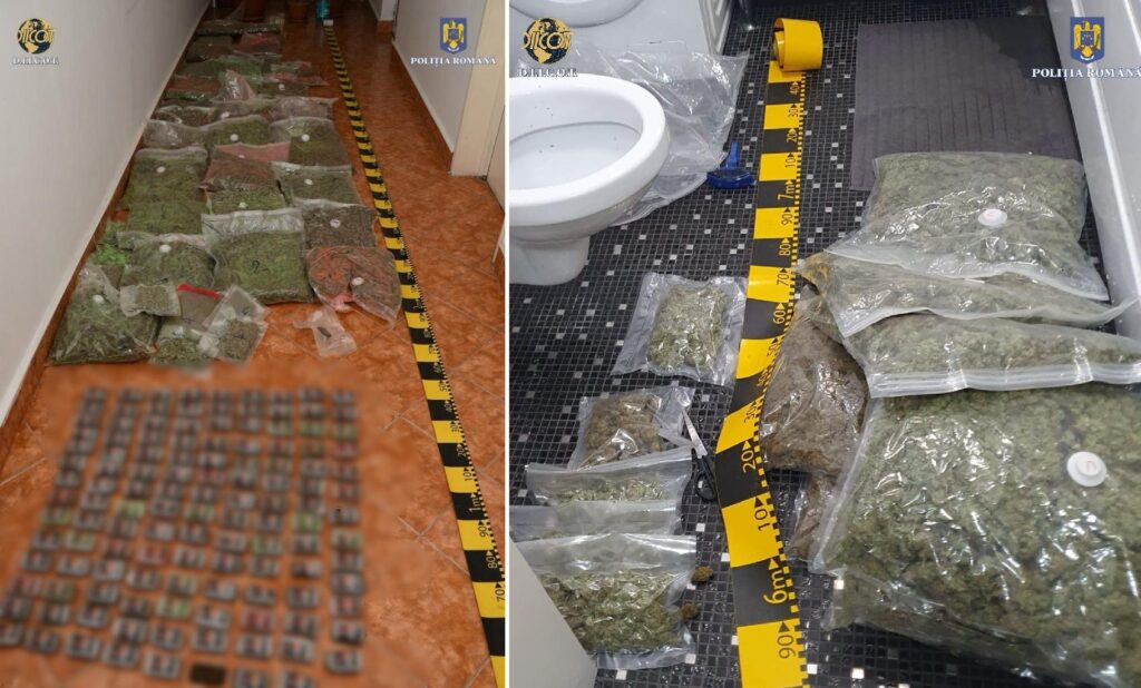 Zeci de kilograme de droguri au fost confiscate în urma unor percheziţii făcute în Cluj şi Iaşi