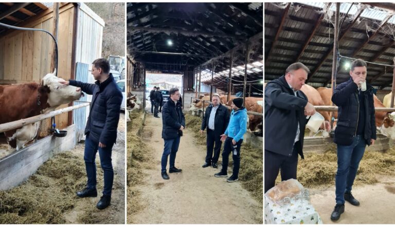 Negrescu: Laptele românesc dar mai ales laptele din Munții Apuseni este de o calitate superioară
