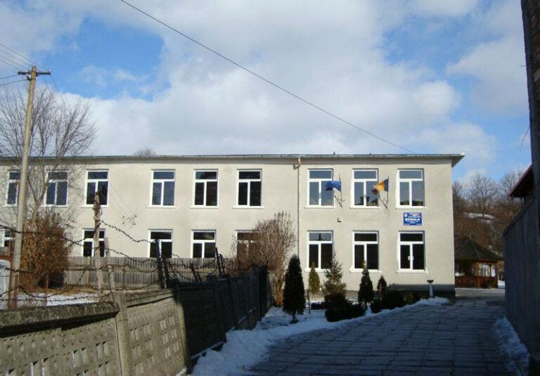 Școala Gimnazială Iara a scos la concurs postul de șofer microbuz școlar