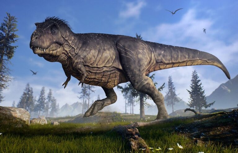 (FOTO) Fosile de dinozaur, unice în lume, descoperite în Țara Hațegului: Oasele sunt într-o stare de conservare foarte bună