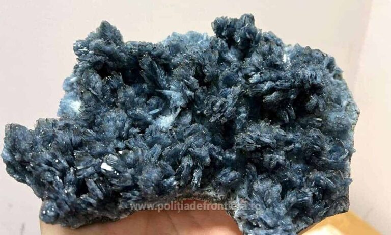 De la Cluj, în China: 27 kg de flori de mină, susceptibile din patrimoniul naţional, au fost oprite la Aeroportul din Cluj