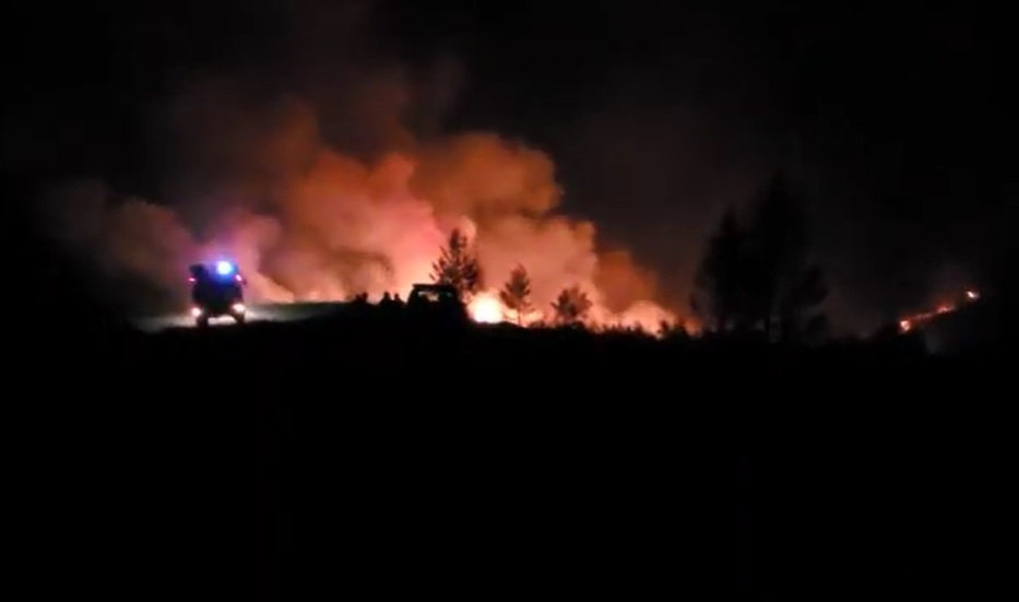 (VIDEO) Incendiu de pădure și vegetație uscată în Ciuruleasa