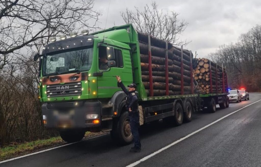 Razie în Lăpugiu de Jos privind combaterea faptelor ilegale în domeniul silvic
