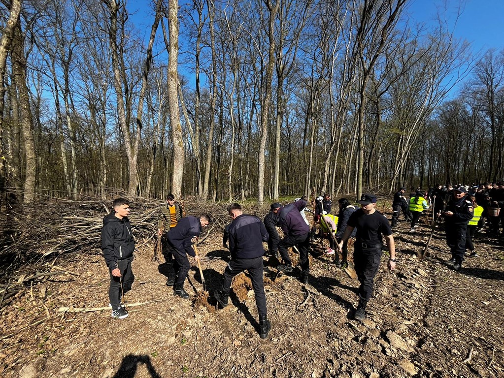 Pompierii bihoreni au sărbătorit Ziua Internațională a Pădurilor, plantând sute de copaci