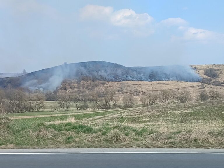 Mai multe hectare de pășune au ars în comuna Căpuşul Mare