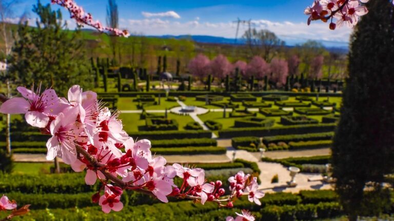 (FOTO) Primăvară superbă la I Giardini di Zoe, cea mai frumoasă grădină cu flori din Transilvania