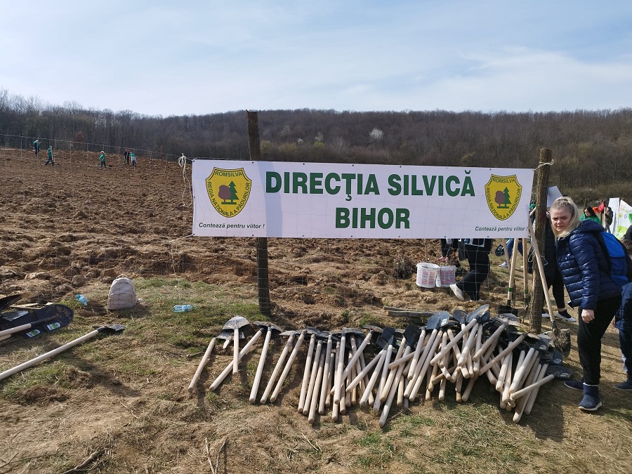Silvicultorii și voluntarii bihoreni au plantat 15.000 de puieți de gorun, paltin, frasin și fag în Betfia