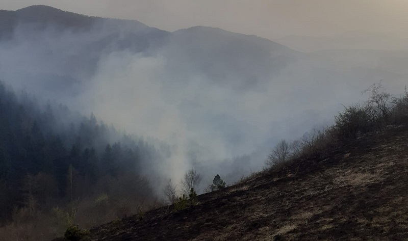 Incendiu pe mai bine de 30 de hectare de vegetație uscată în Surduc, Iara
